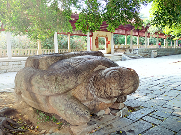巨石神龟