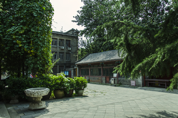 原中法大学