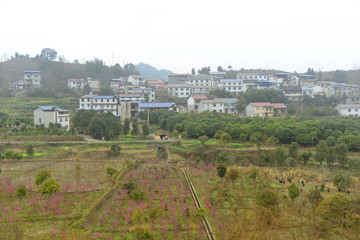 从天门山索道俯瞰张家界村庄田园