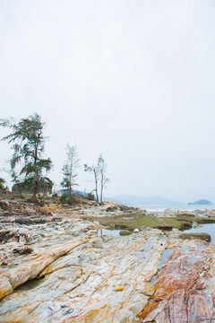 惠州湾仔村海岸