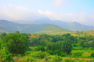 绿色乡村