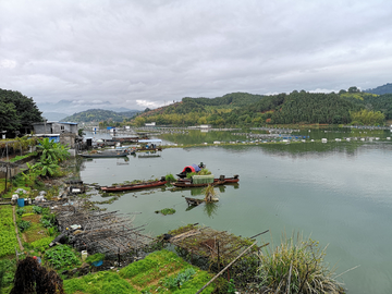 樟湖库区风光