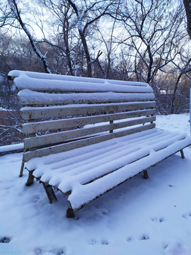 雪后长椅