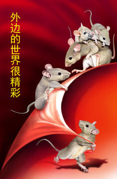 外邊的世界很精彩