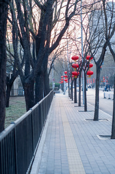 道路绿化