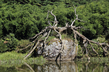 三清山风光