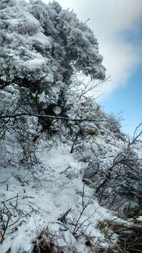 积雪