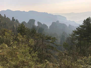 张家界国家森林公园砂岩大峰林