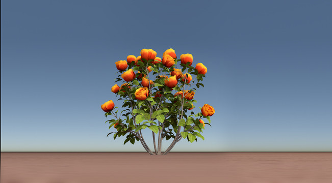 黃紅玫瑰花玫瑰花叢