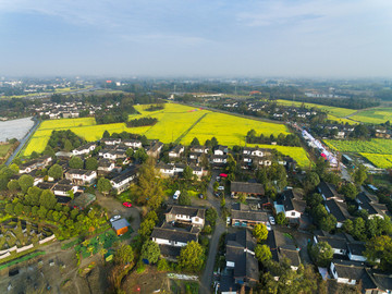 成都郫都区青杠树村