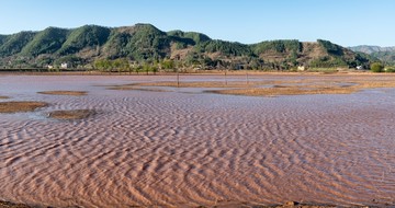 会泽大桥黑颈鹤保护区