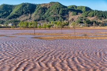 会泽大桥黑颈鹤保护区