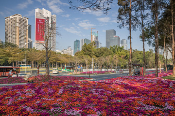 深圳花园城市