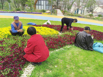 除草工人