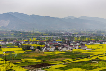 陕西汉中油菜花风光