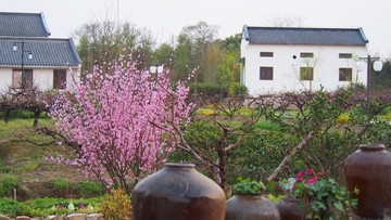 桃花源里人家