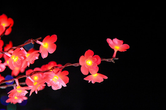 夜景烟花花瓶春节玉树琼枝