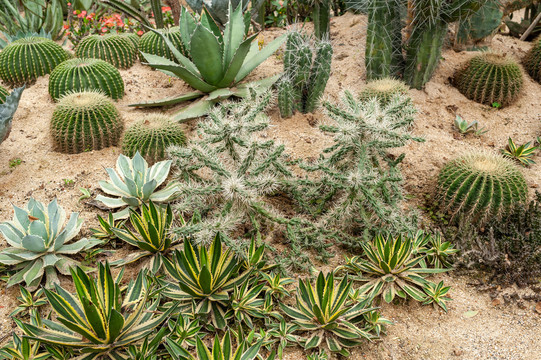 观赏植物园