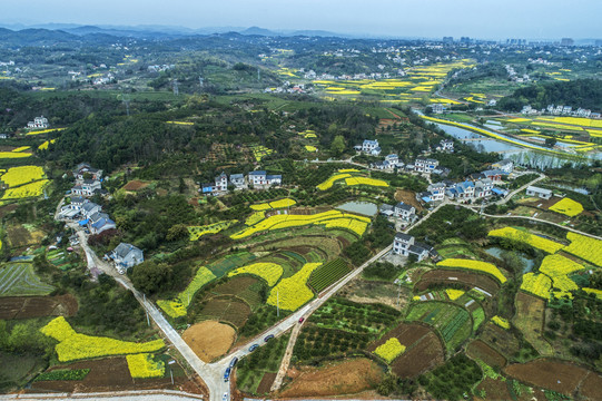 湖北宜都油菜花海航拍