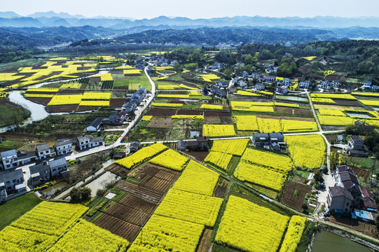 湖北宜都油菜花海航拍