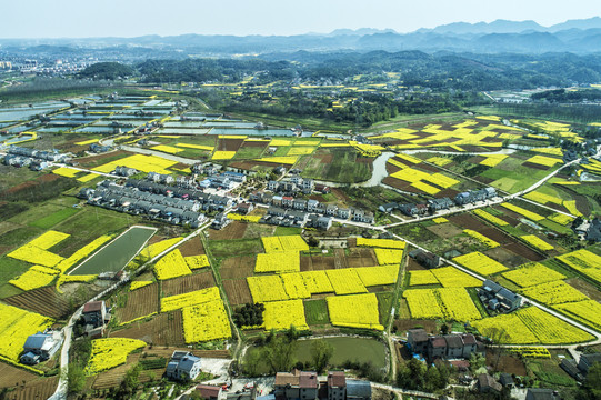 湖北宜都油菜花海航拍