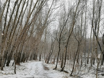 乡村雪景