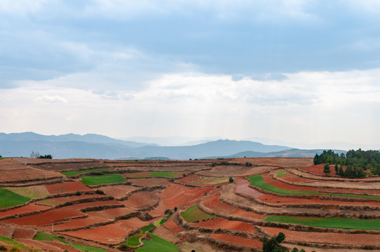 东川红土地梯田