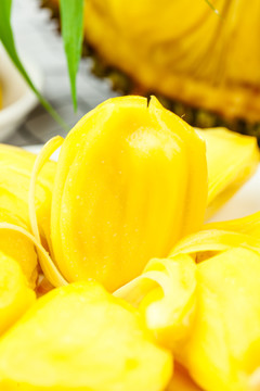 越南菠萝蜜