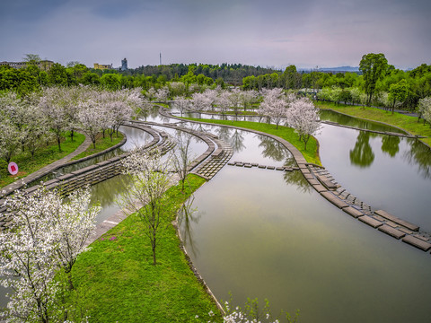 兰溪兰湖水池樱花