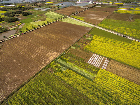 兰溪岩头村油菜花田航拍