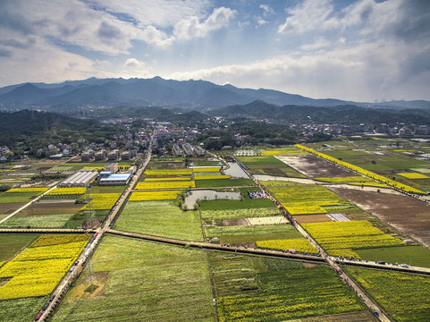 兰溪岩头村民居油菜花田航拍