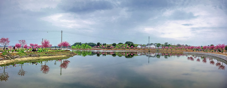 兰溪诸葛草堂樱花园全景