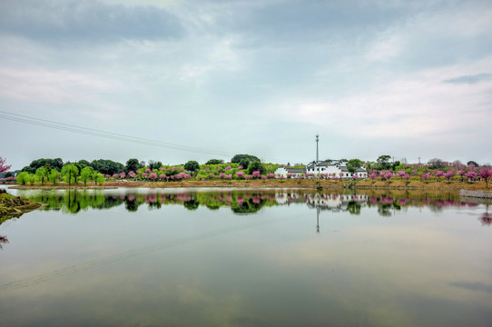 兰溪诸葛草堂樱花园古建筑