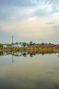 兰溪诸葛草堂樱花园夕阳古建筑