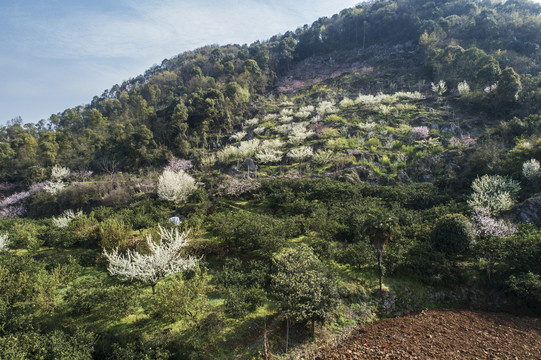 宜都架锅山航拍