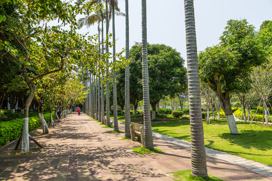 厦门大学