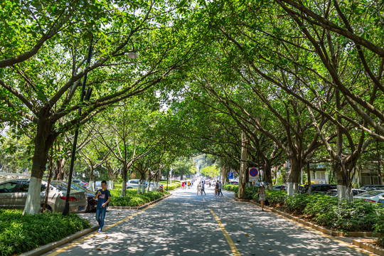 厦门大学