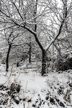 吉林市松花湖春分时节雪花飞扬