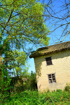 乡村土坯房老建筑