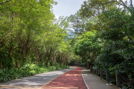 青秀山走道