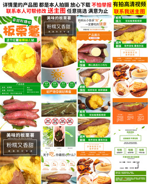 板栗薯詳情