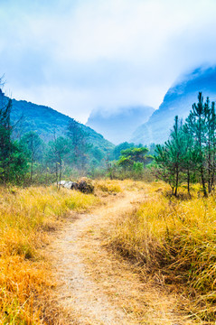 山岭小路