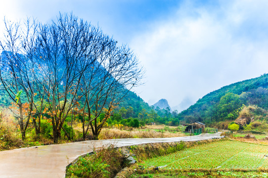 山岭小路