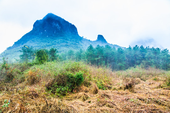 雾色山岭风光