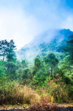 雾色山岭风光