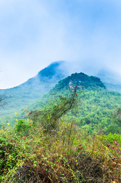 雾色山岭风光