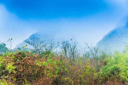 雾色山岭风光