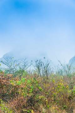 雾色山岭风光