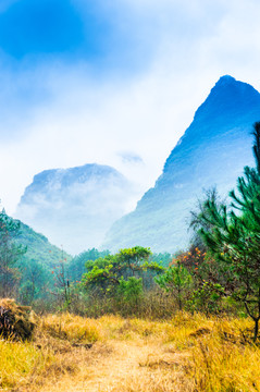 雾色山景