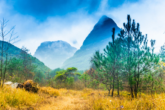 雾色山景